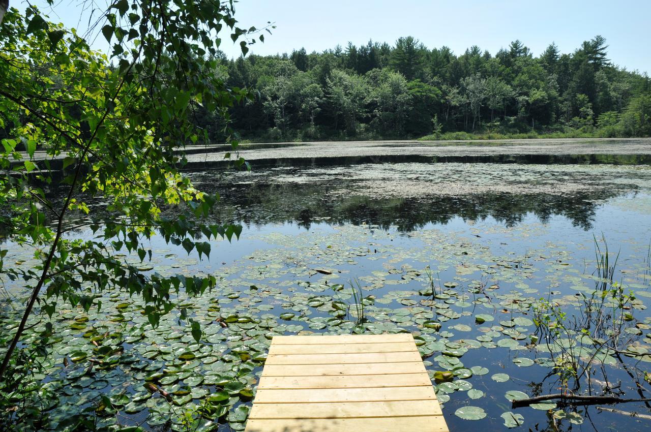 Tuxbury Pond Camping Resort Tiny House Clara Southampton Dış mekan fotoğraf
